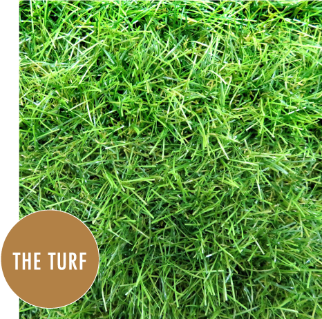 クローバーターフ ラグジュアリータイプ THE TURF 60mm