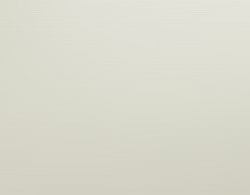 ミストシルバー