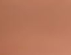 アプリコット
